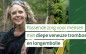 Afbeelding van Praktische gids voor optimaliseren van zorg bij trombose en longembolie